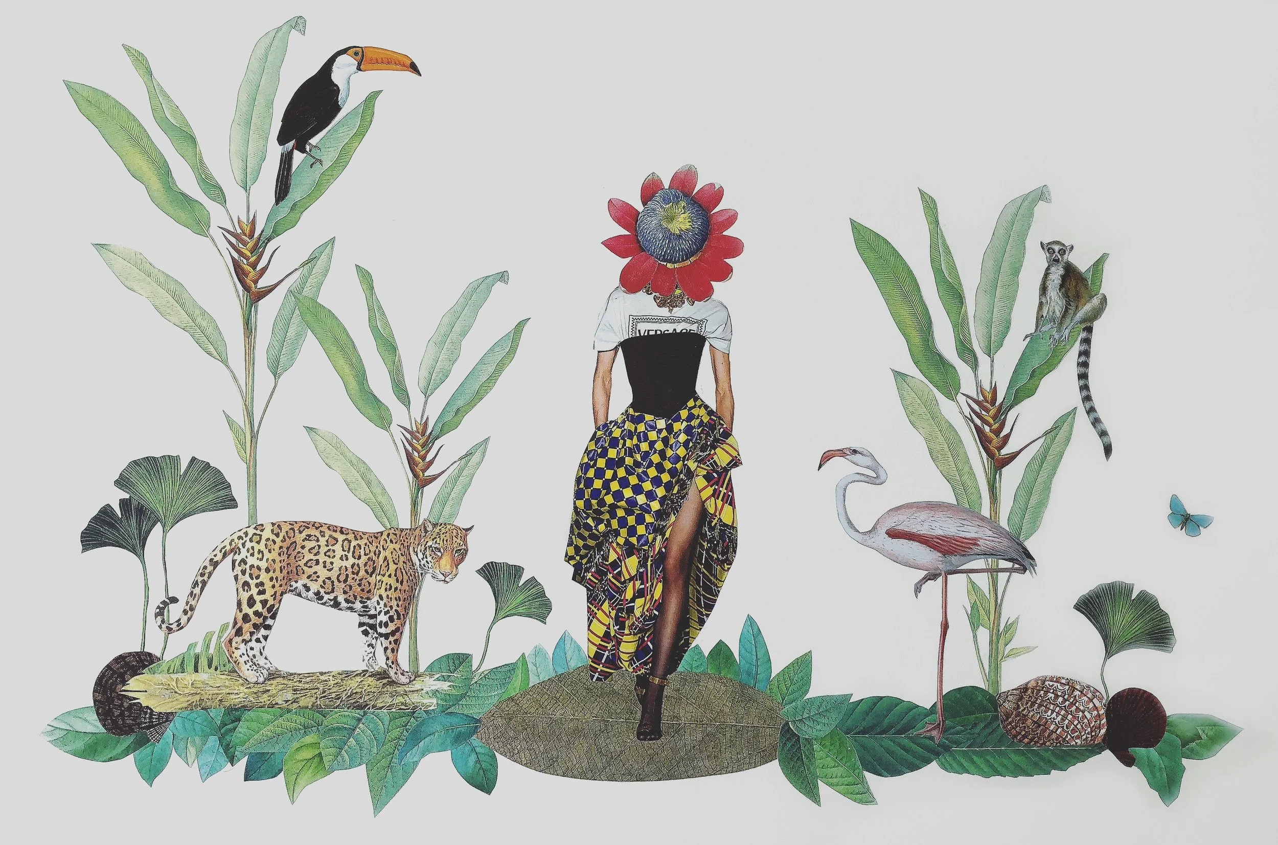 Cartagena Solo Exhibition