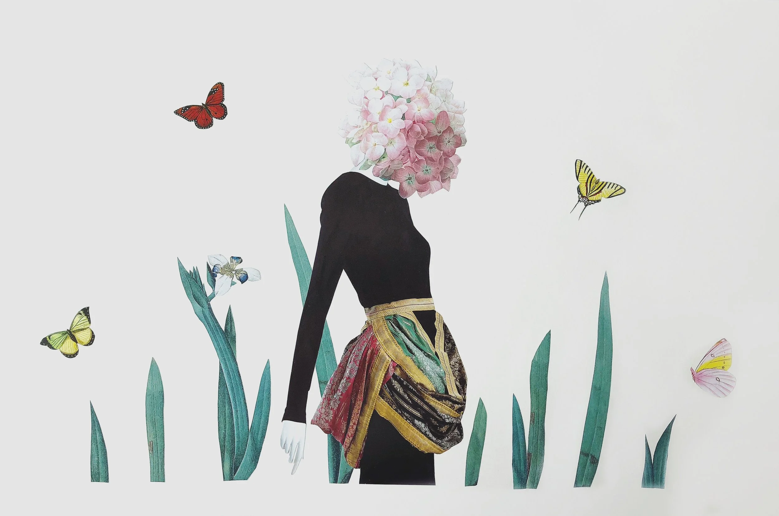 Hydrangea macrophylla