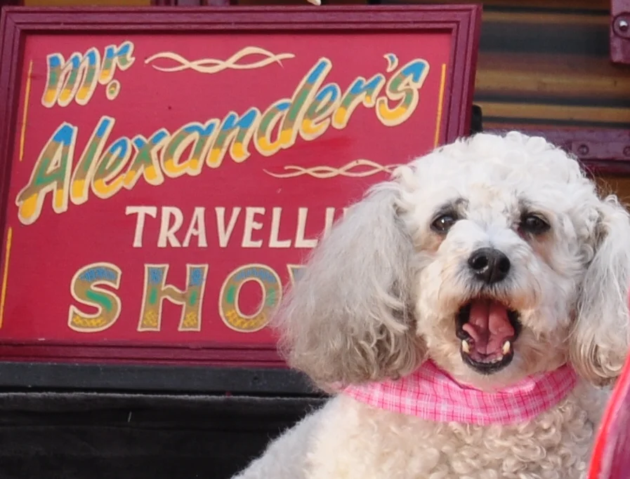 The non-start to the Season