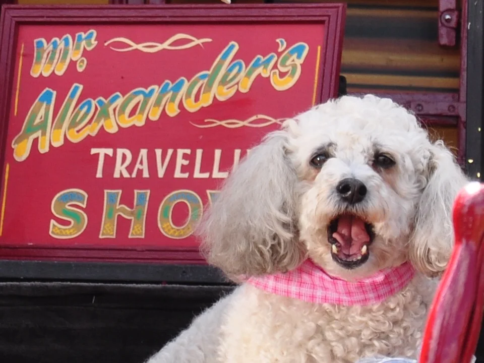 My seventieth year begins…