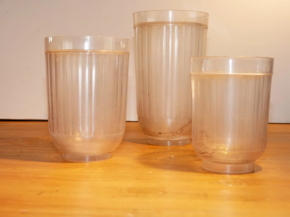 Multum in Parvo Glasses — product photograph