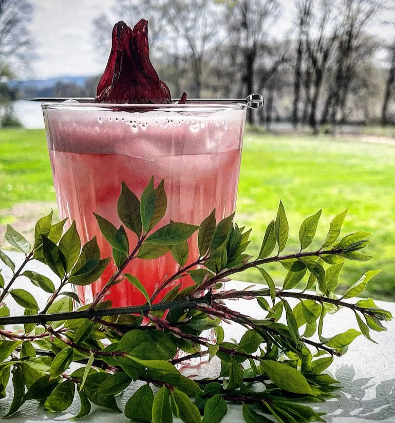 The Pacific Islander - Paloma with Hibiscus Foam