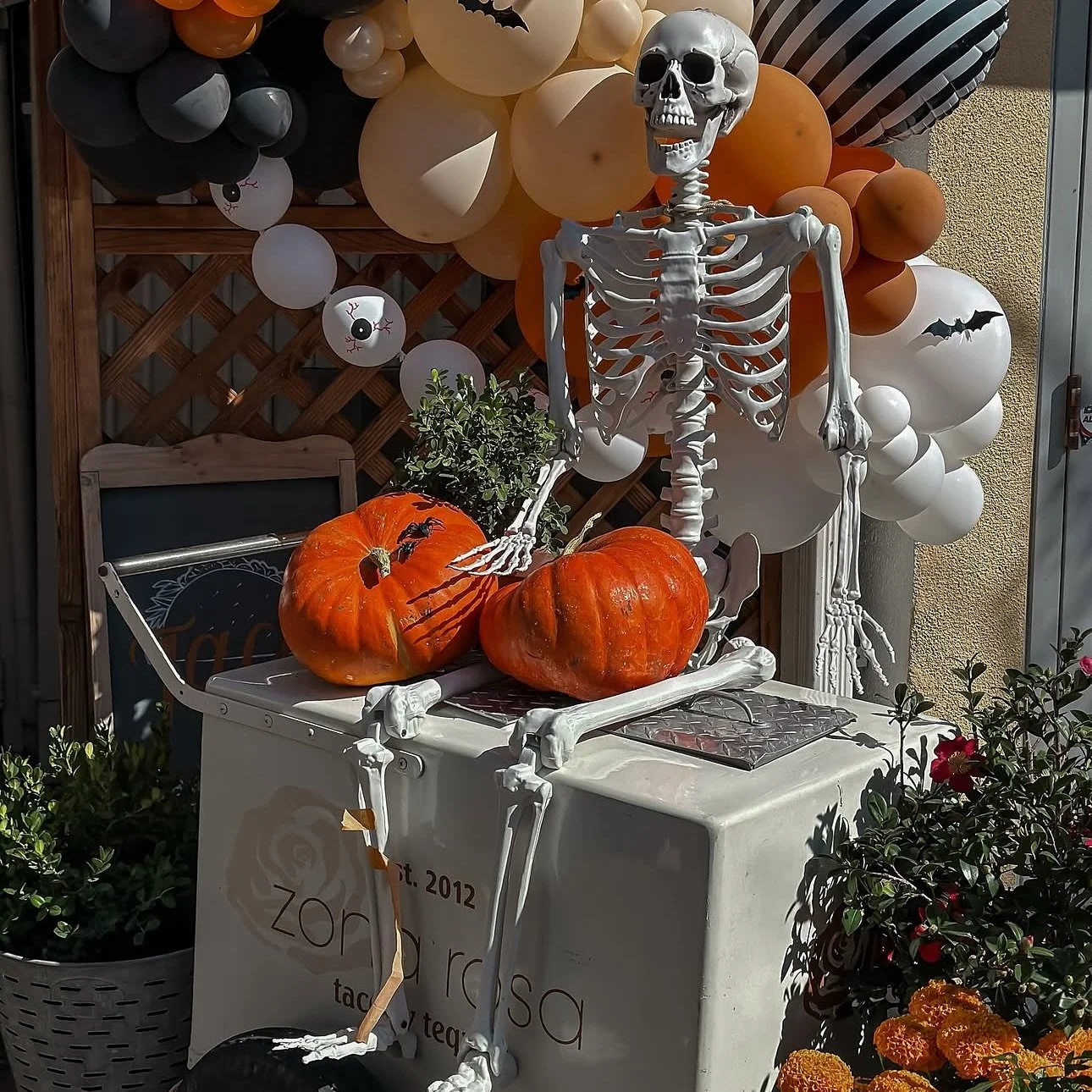 Spooky season in full swing at Zona Rosa on the Alameda.
Last taco Tuesday of 2025 is happening now until 9PM,
come on by!

💀🧡🖤🤍 by @lovebox8