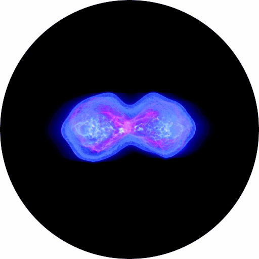 Neuro_StemCell_Splitting.jpg