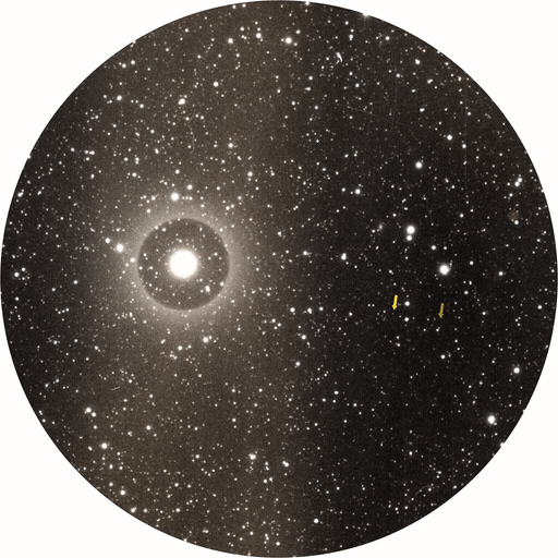 Pluto_Tableau_White.gif