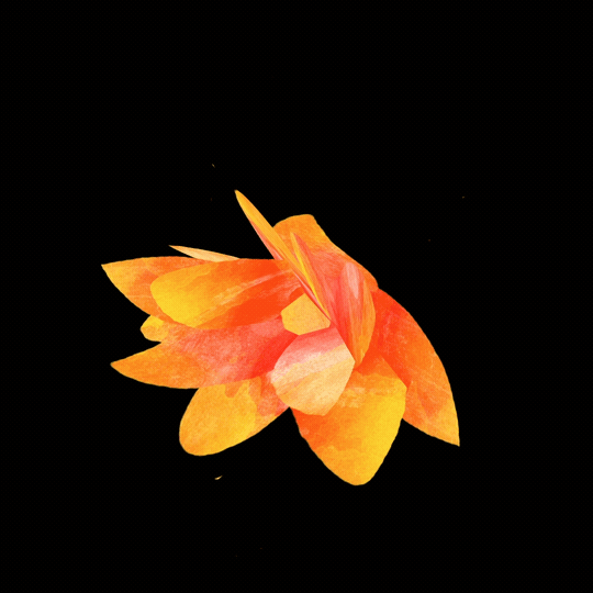Luzia_Flower_Test_03.gif