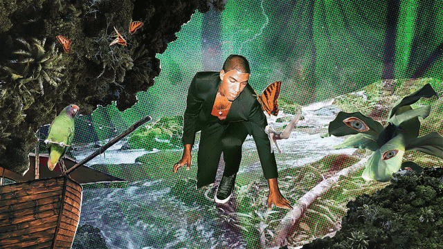 AYF_Jungle_02.gif