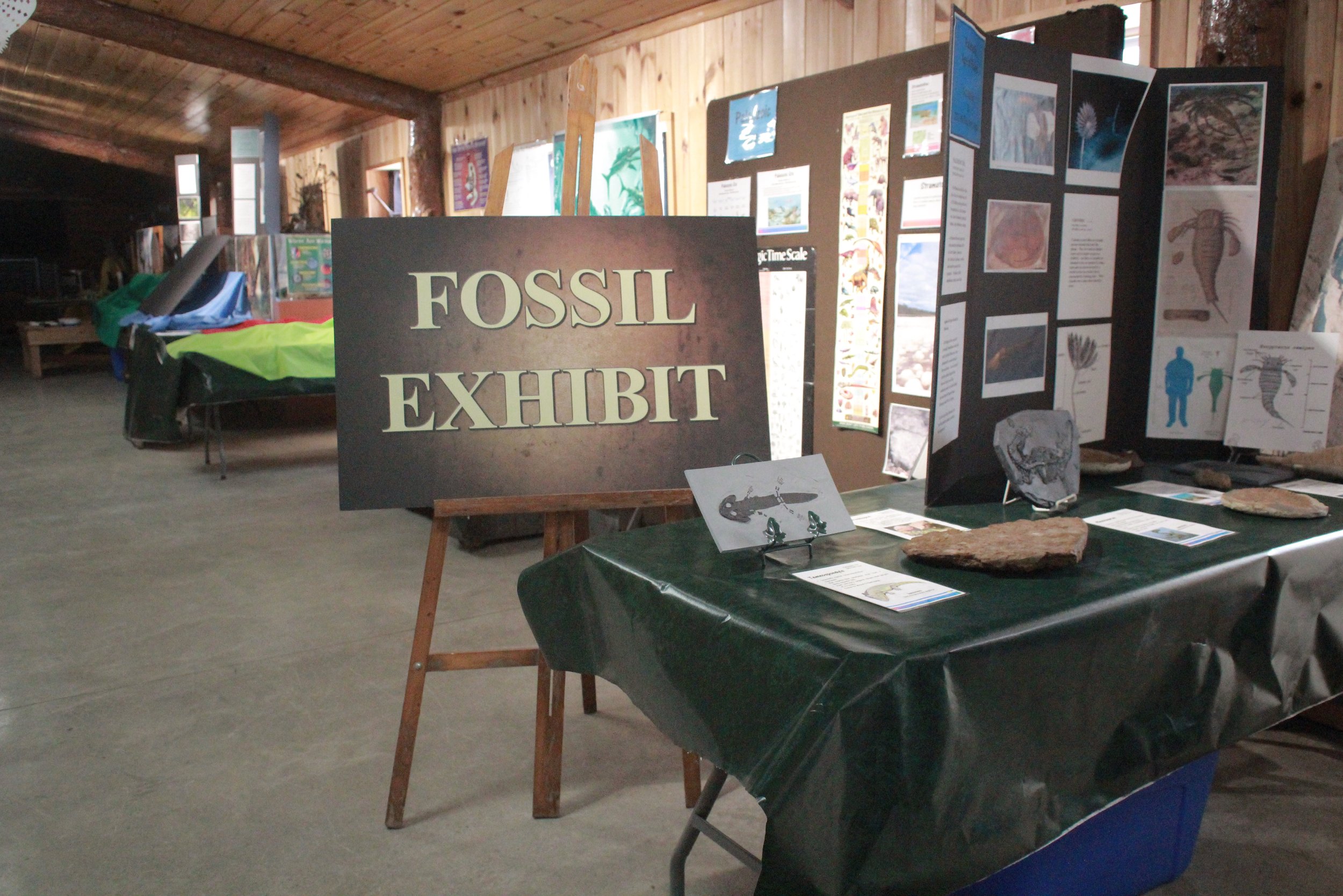 Fossil Exhibit Photo.JPG
