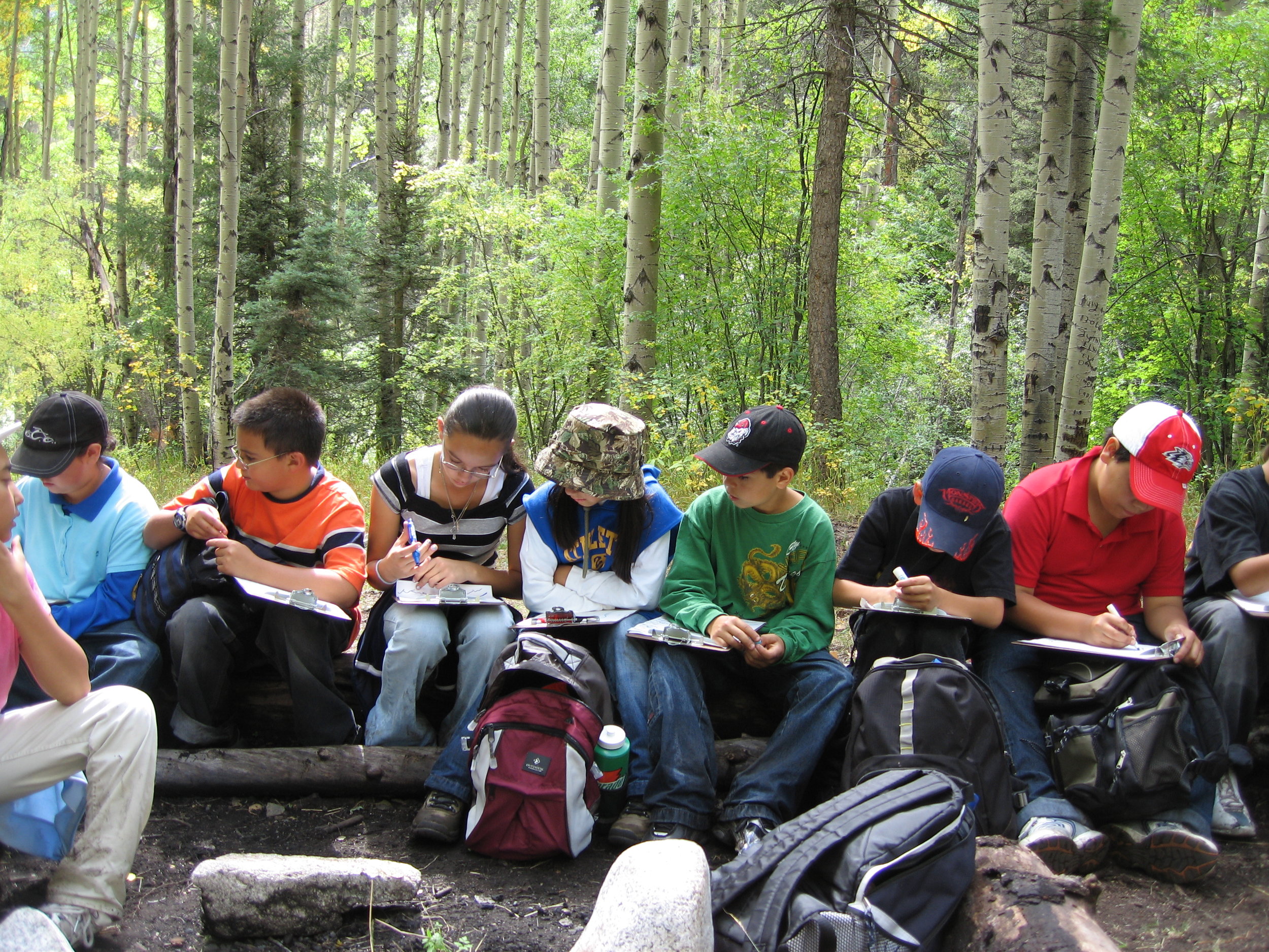Students compile forest measurements on forest fire ecology day.JPG