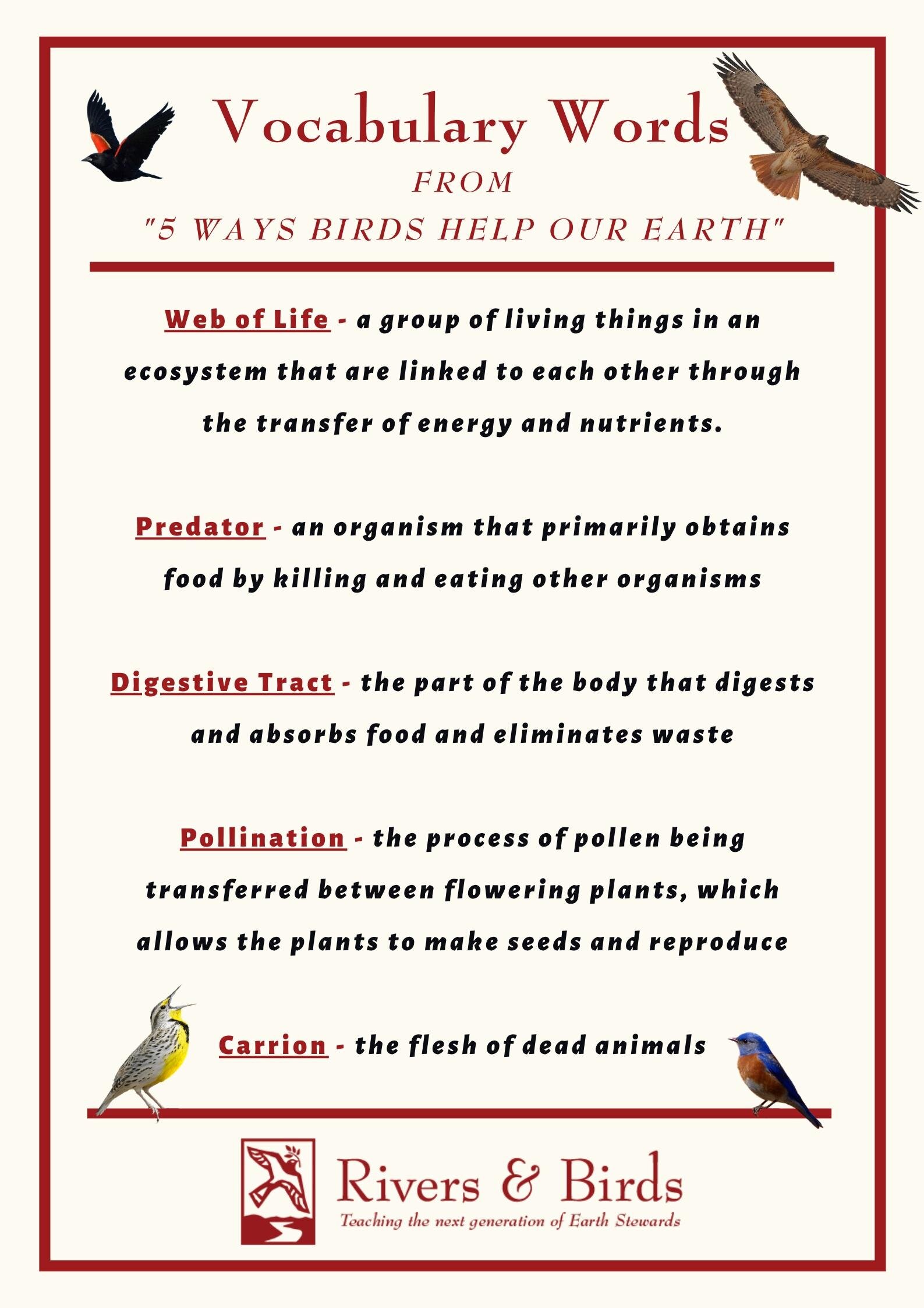 Vocabulary from "5 Ways Birds Help Our Earth" Video