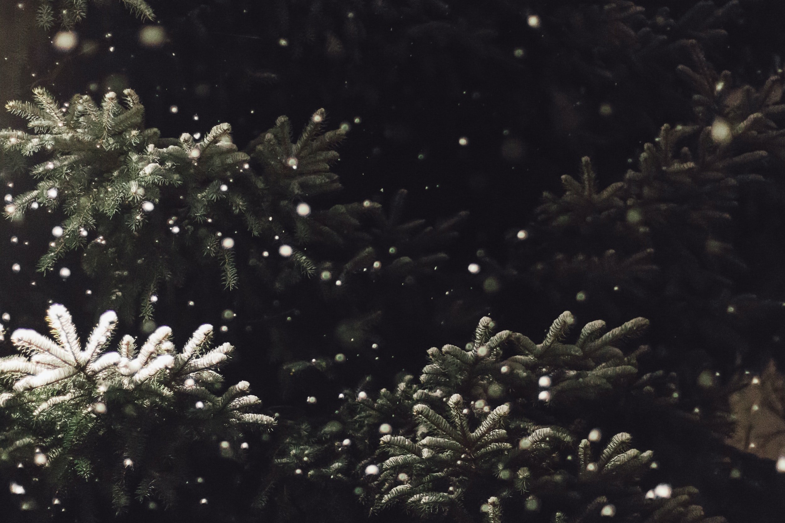 unsplash-image-OPZLe7zcCKE.jpg