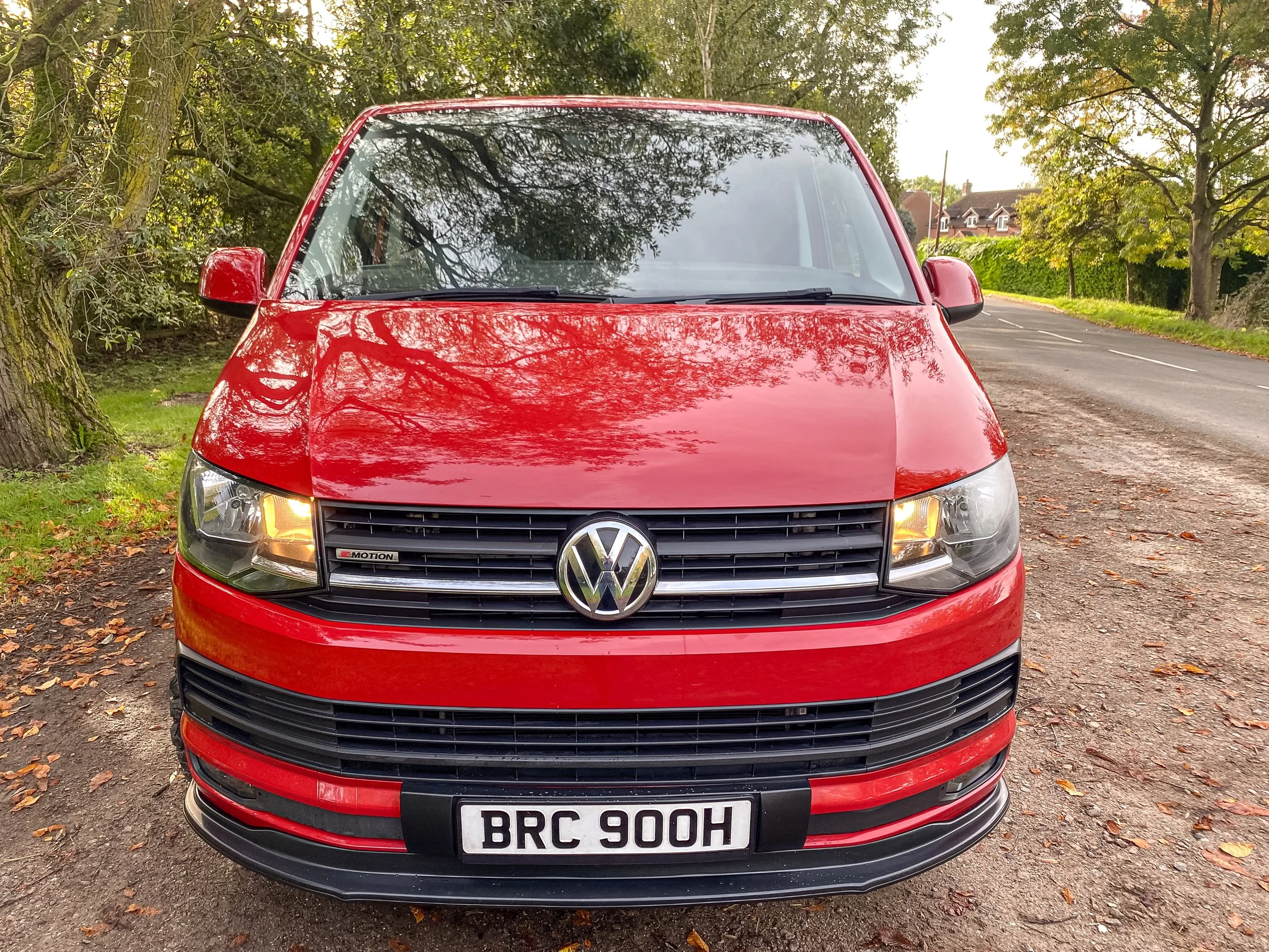 Red T6_005_IMG_7307_©PaulNeedham.jpg