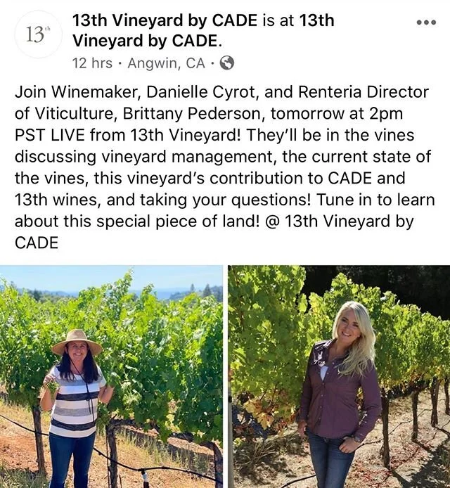 Come walk and talk about the terroir of this amazingly beautiful vineyard, which creates some seriously magical wines! @13thbycade Have I mentioned that this is one of my favorite vineyards that we farm?! ✨