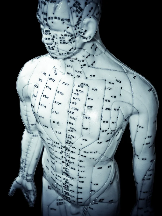 acu body.jpg