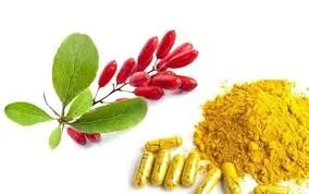 nature's ozempic: Berberine