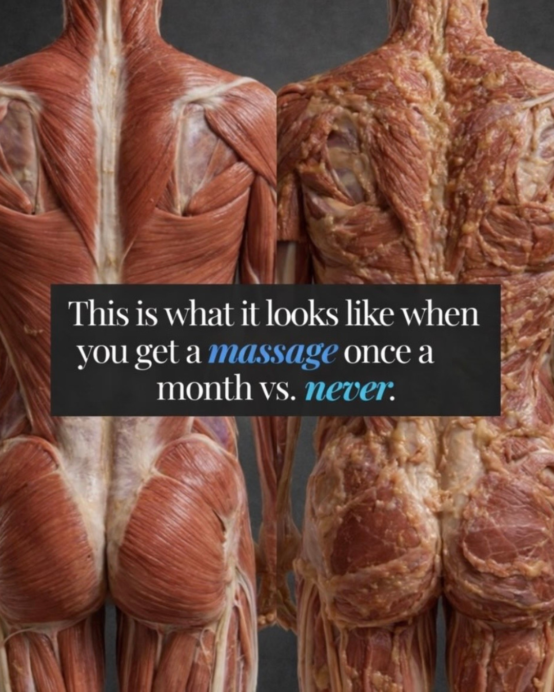 Routine massage isn't just about relaxing muscles..... it's about conditioning the body out of stress and into balance.