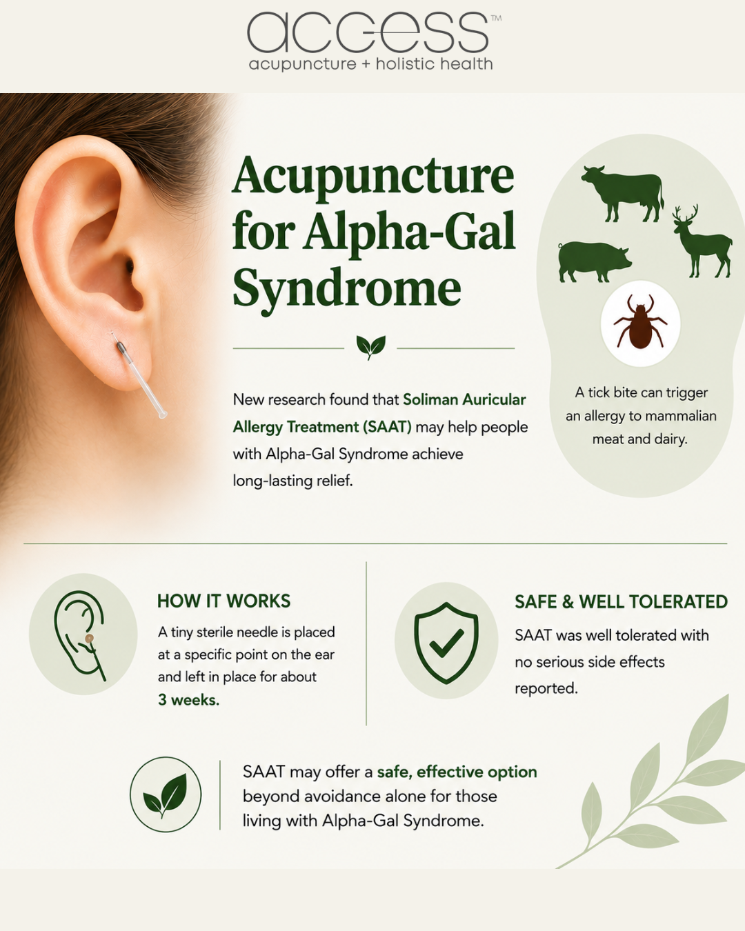 Acupuncture for Alpha-Gal Syndrome
