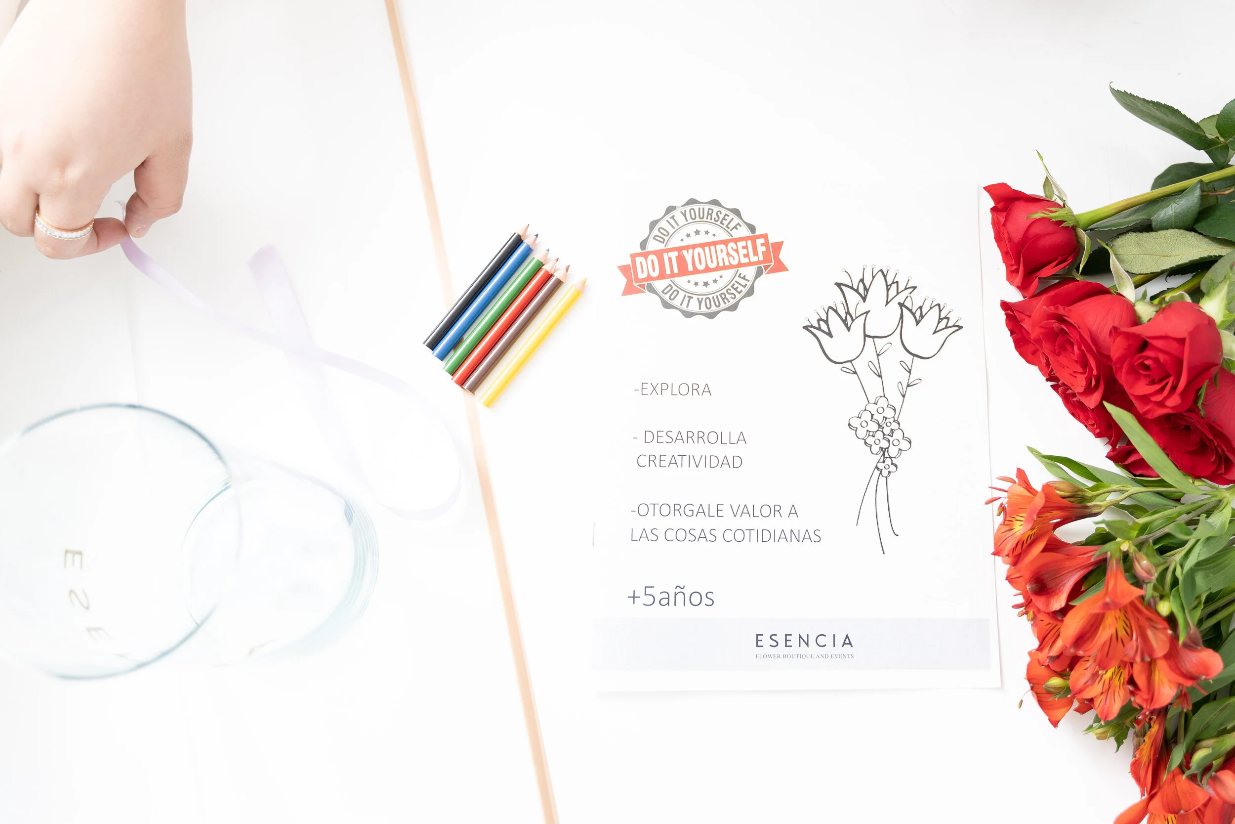 Ramo Didáctico - Versión digital