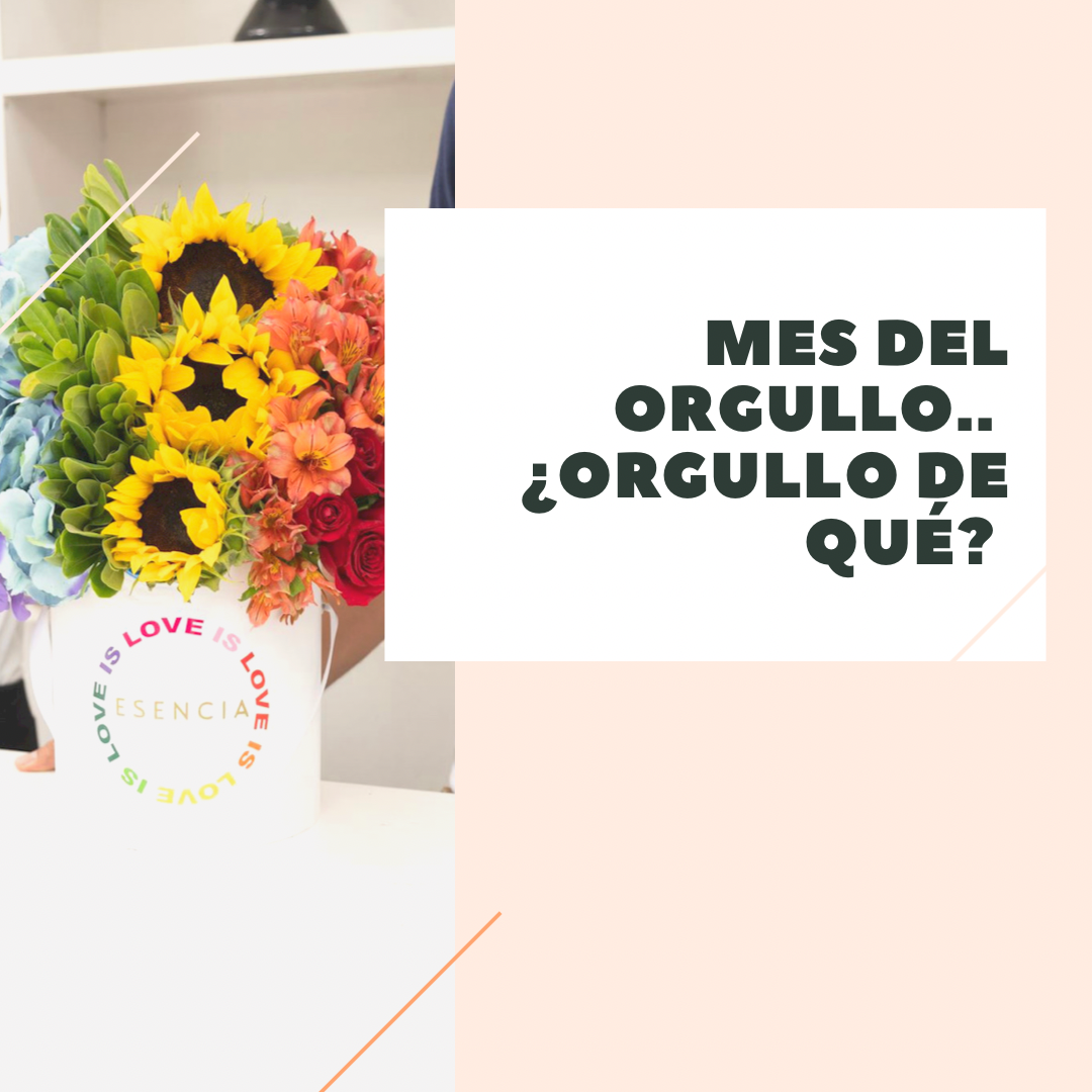 ¿Orgullo de qué?