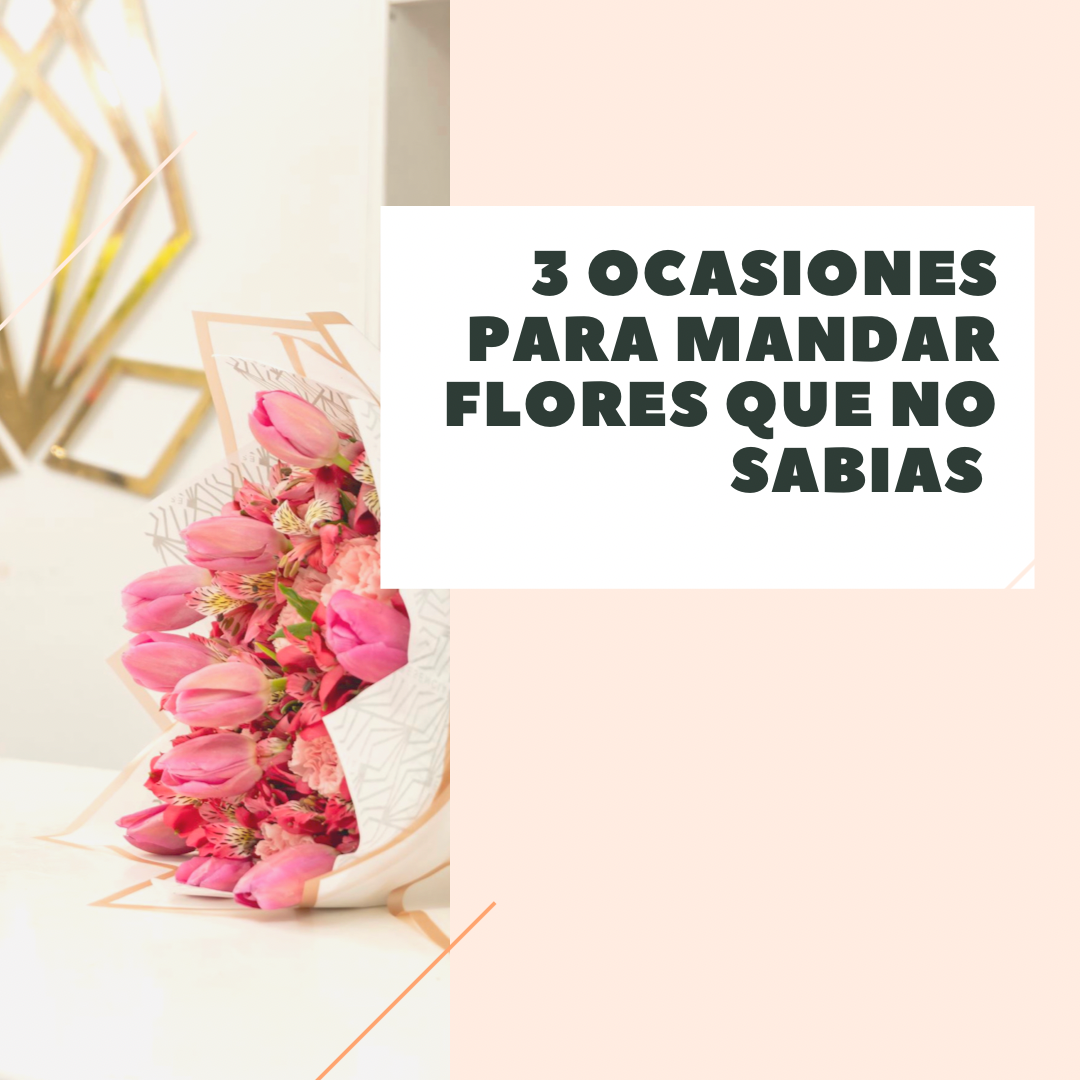 3 OCASIONES PARA MANDAR FLORES QUE NO SABIAS 