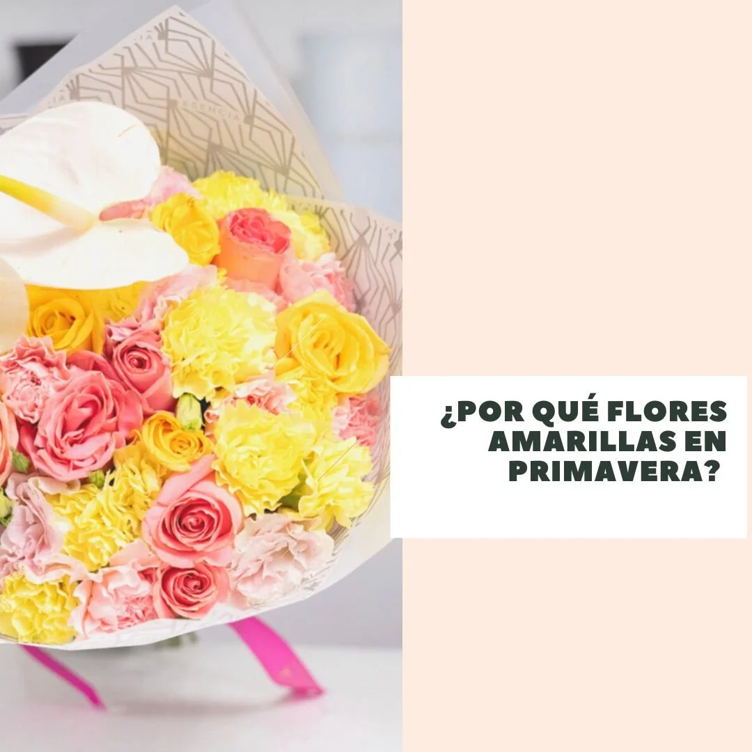 ¿Por qué flores amarillas el 21 de marzo?
