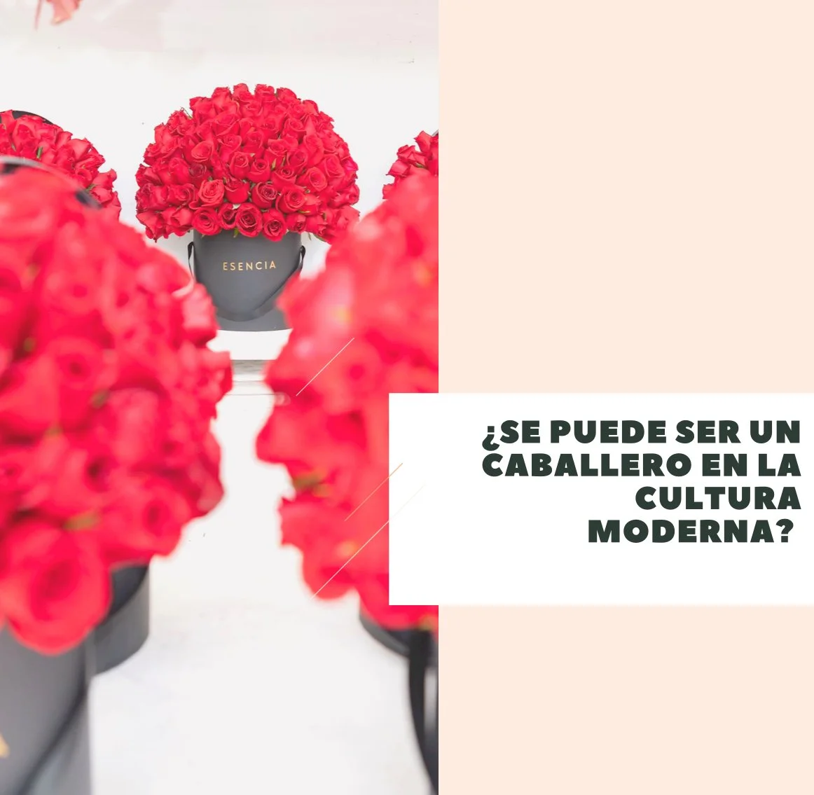 ¿Se puede ser un caballero en la cultura moderna?