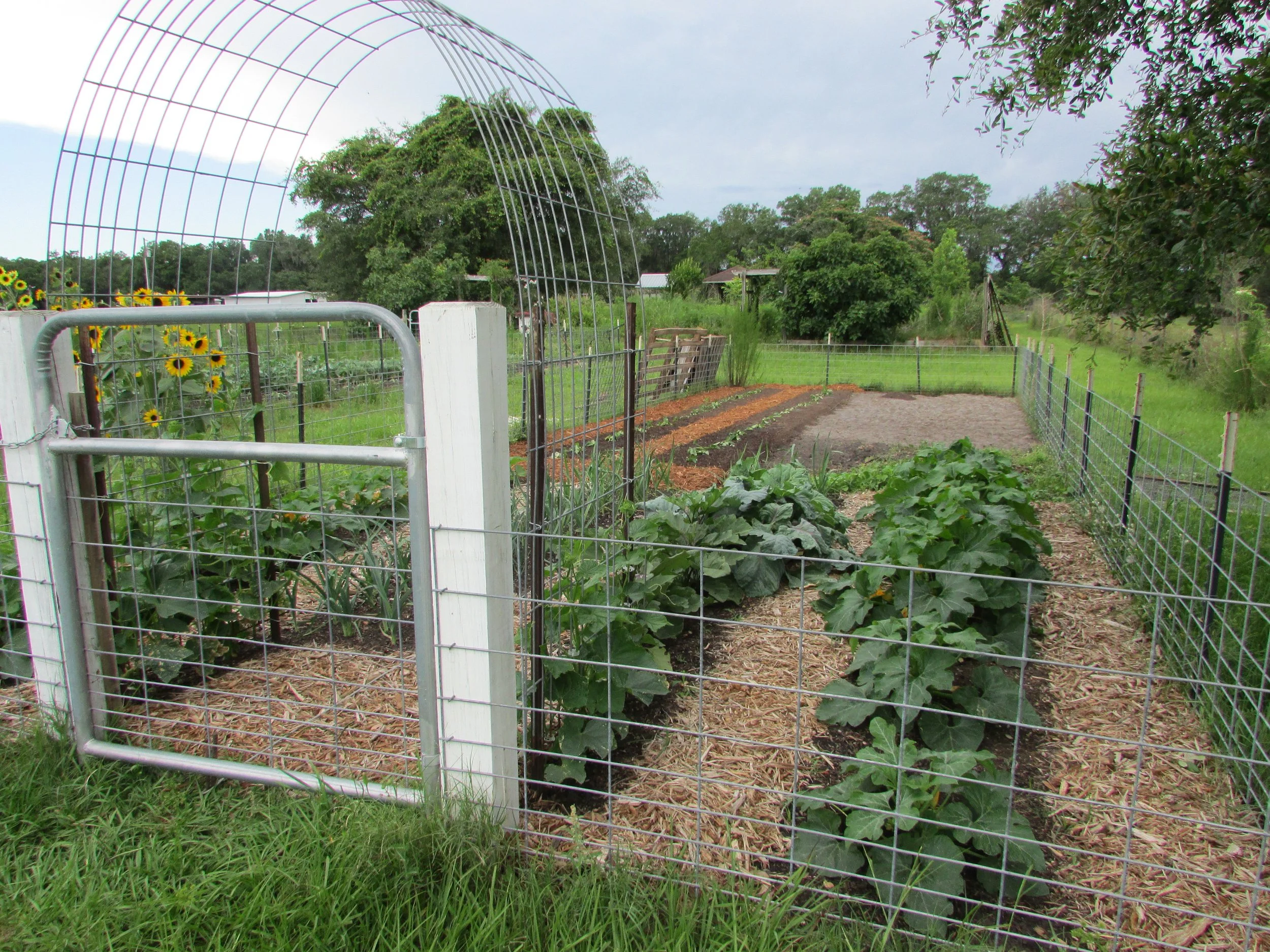 You CAN Garden in North Florida! Seminar