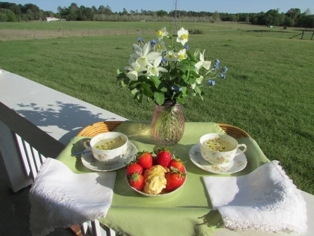 Farm to Table Dinner--March into Spring