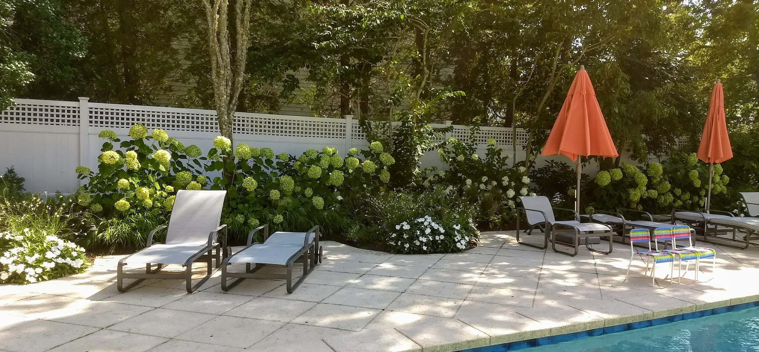 Poolside planting