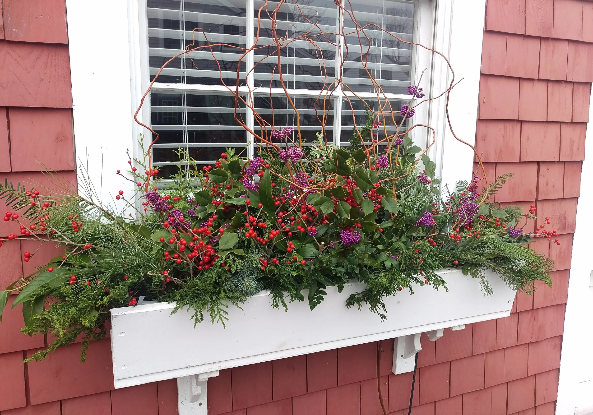 Winter Windowbox