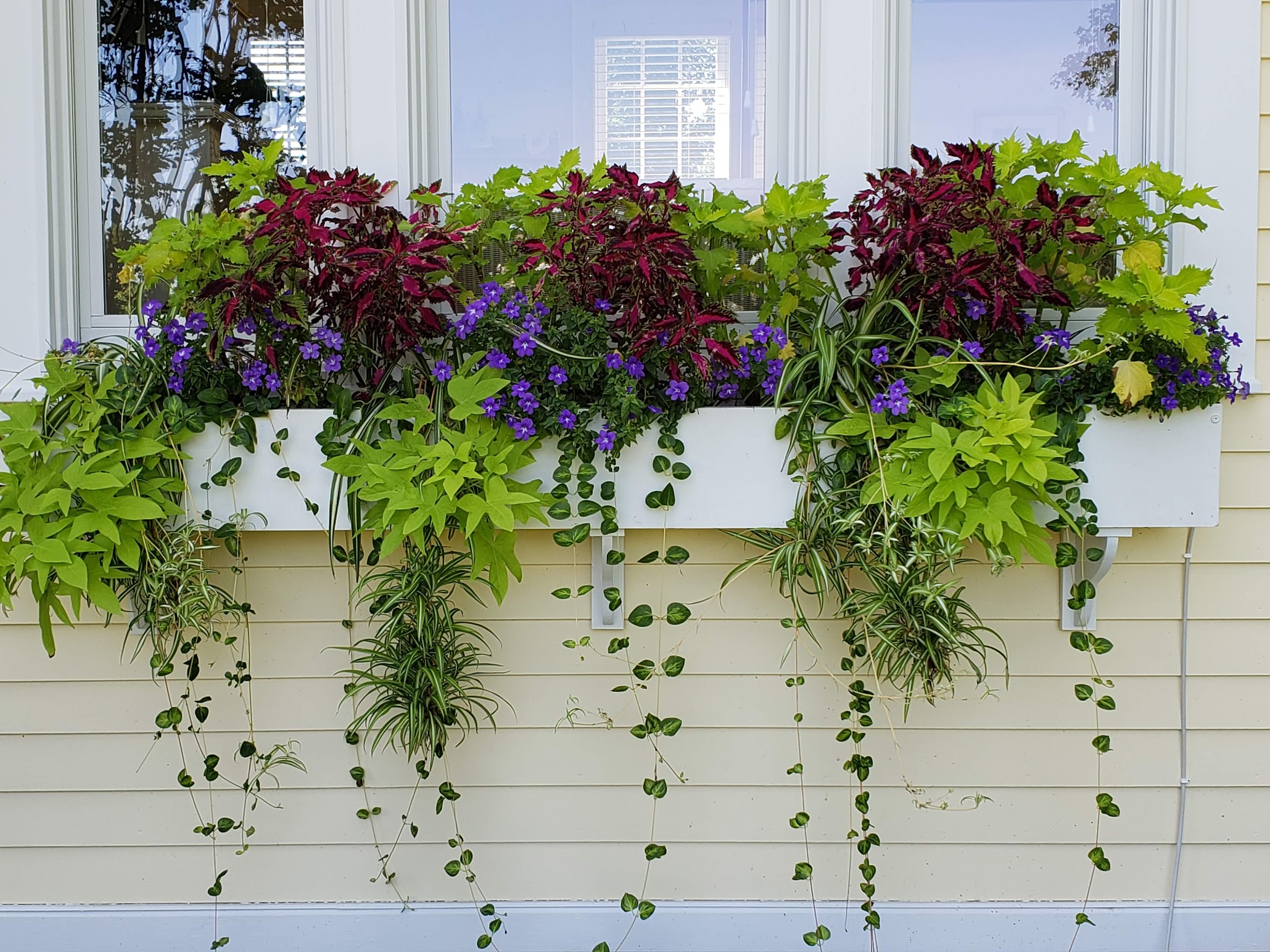 Window planter