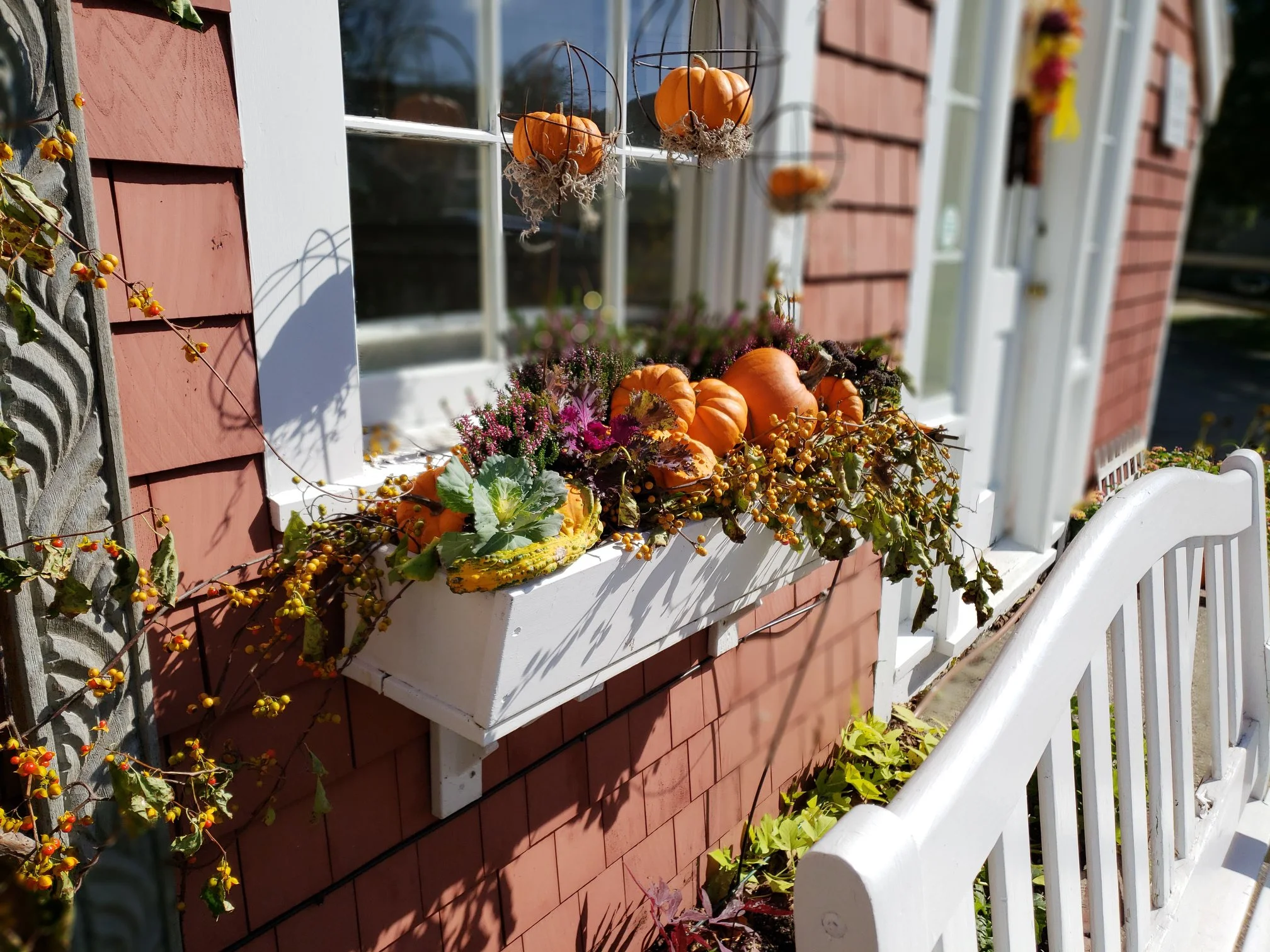 Fall Windowbox Design