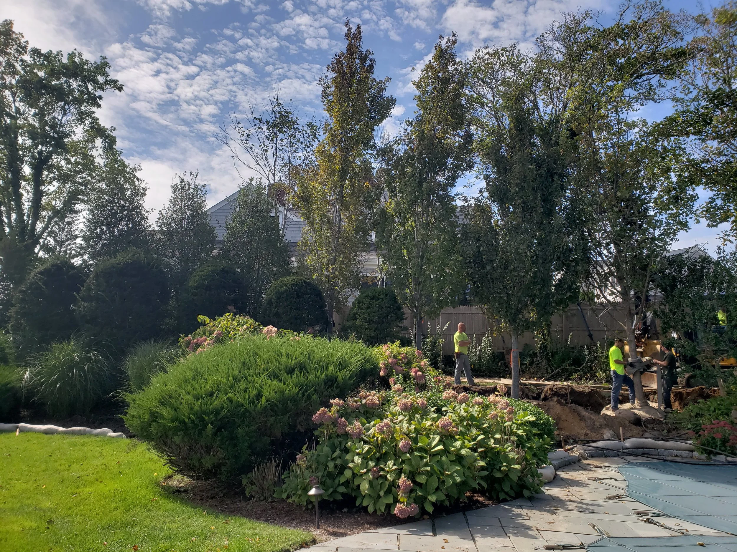 Poolside Restoration (During)