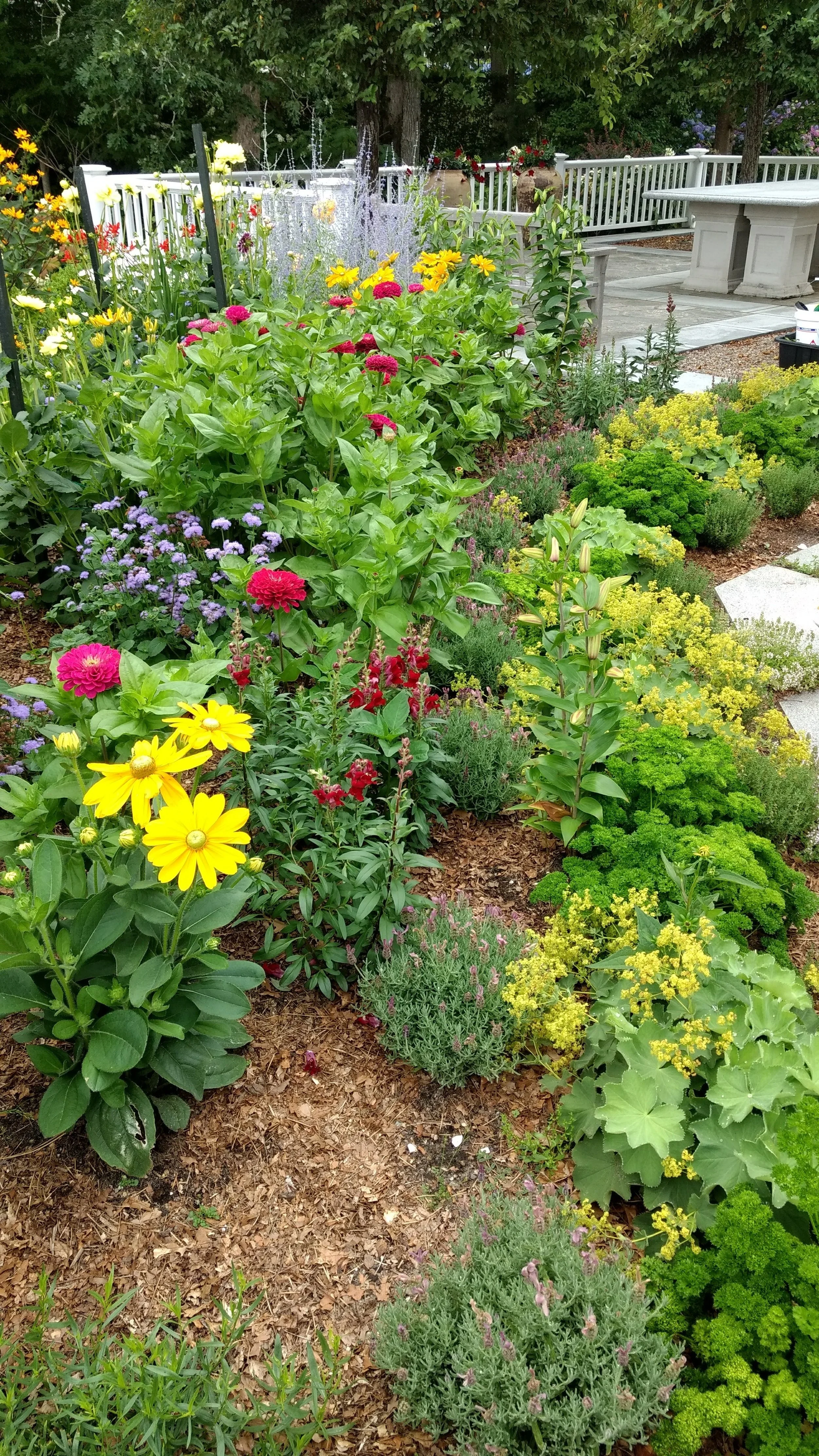 Seaside Border Garden