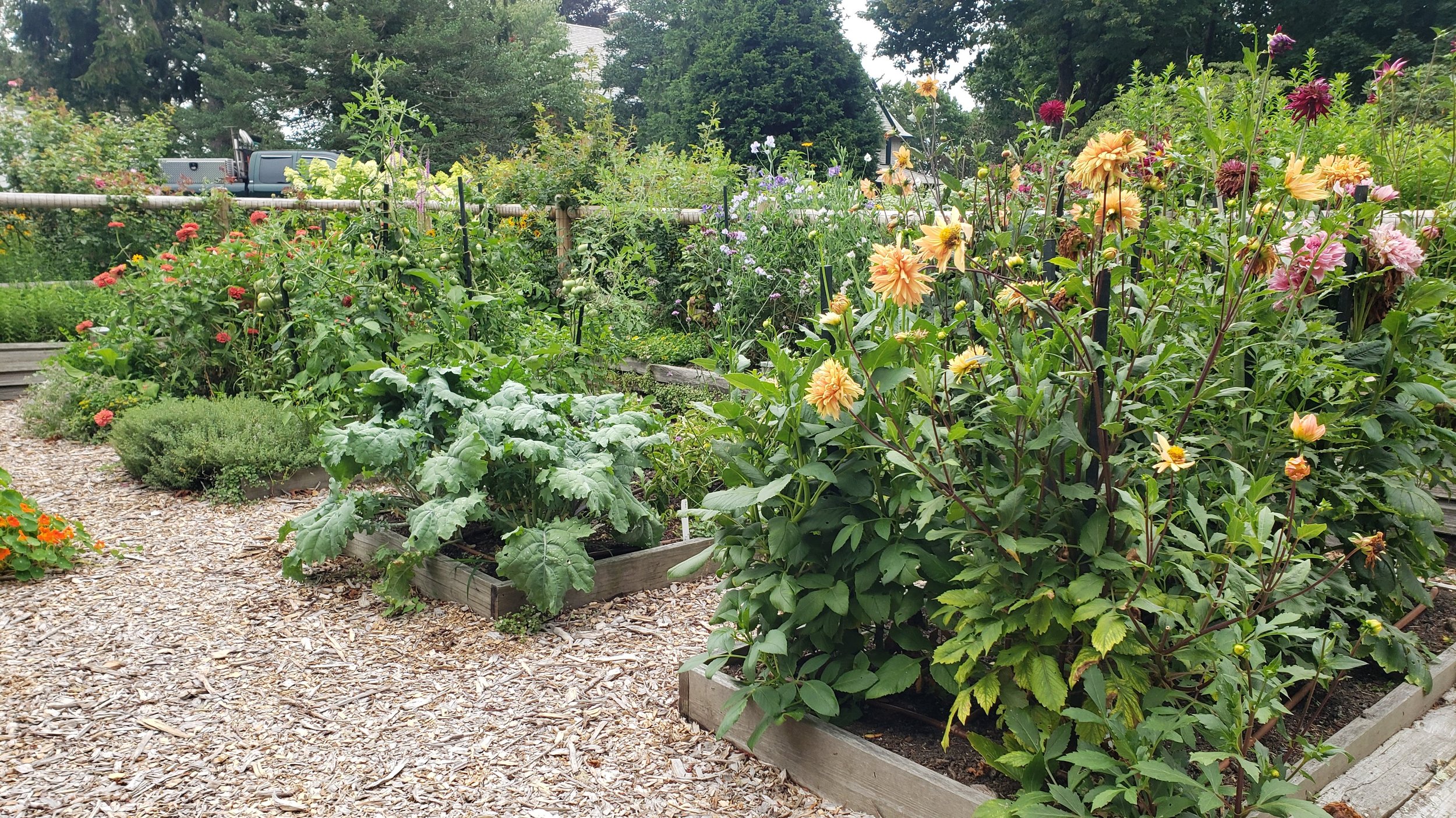 Veg Garden 2021 - Copy.jpg