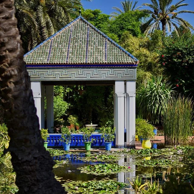 Yves Saint Laurent gardens (2/3) -
-
-
-
-
NIKON D750
50mm
-
-
-
-
-
#wyattawtreyphotography #photography #photographer #photooftheday #photo #justgoshoot #instaphoto #picoftheday #pictureoftheday #camera #aesthetics #wanderlust #nikon #d750 #nikond7