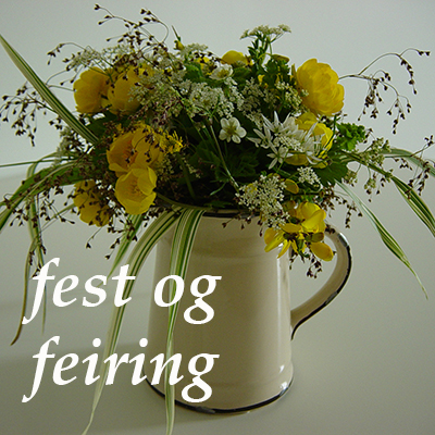 forside fest og feiring m tekst.jpg