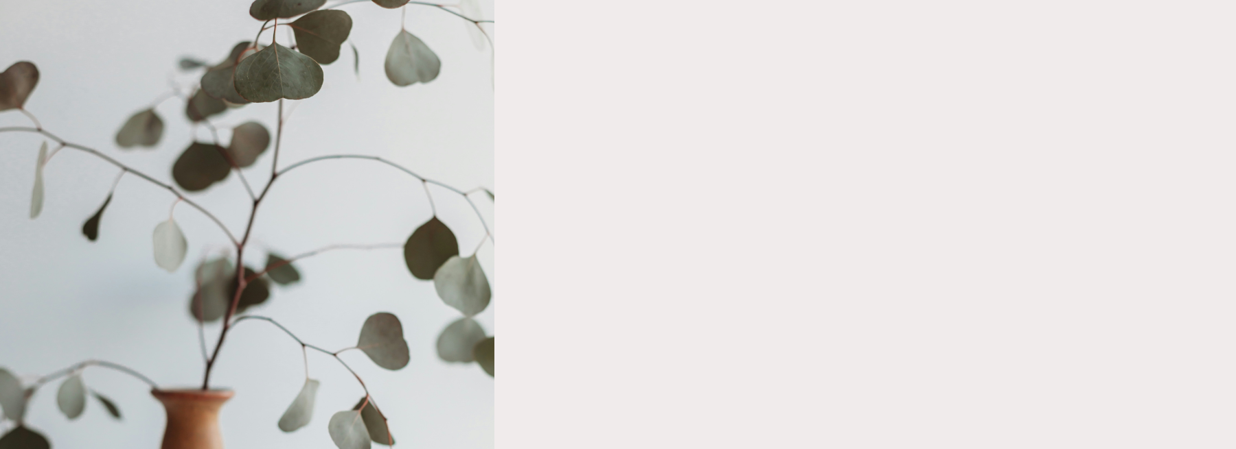 Banner images (2)resized.png
