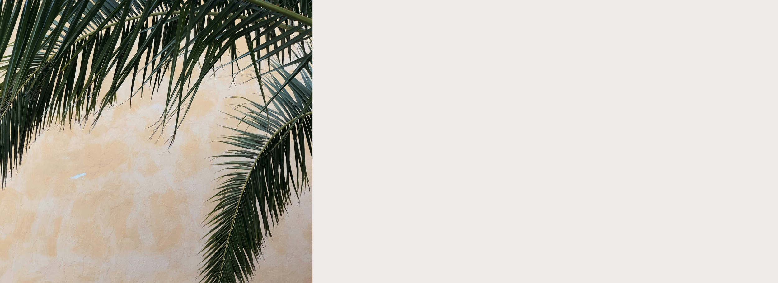 Banner images (10).png