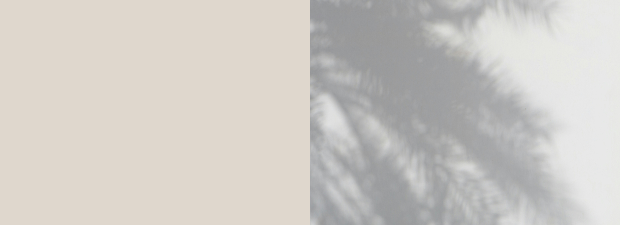 Banner images (2).png