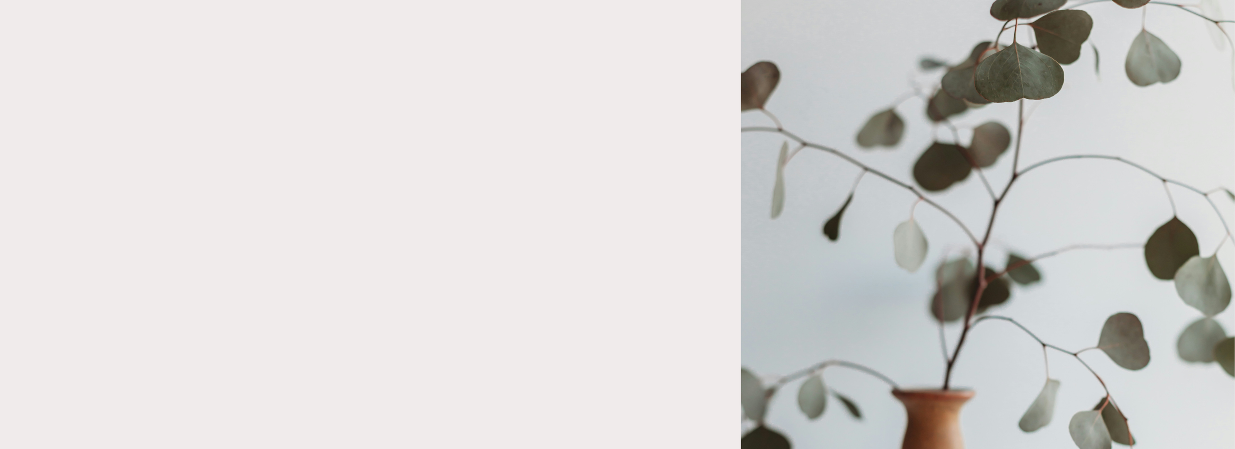 Banner images (4).png
