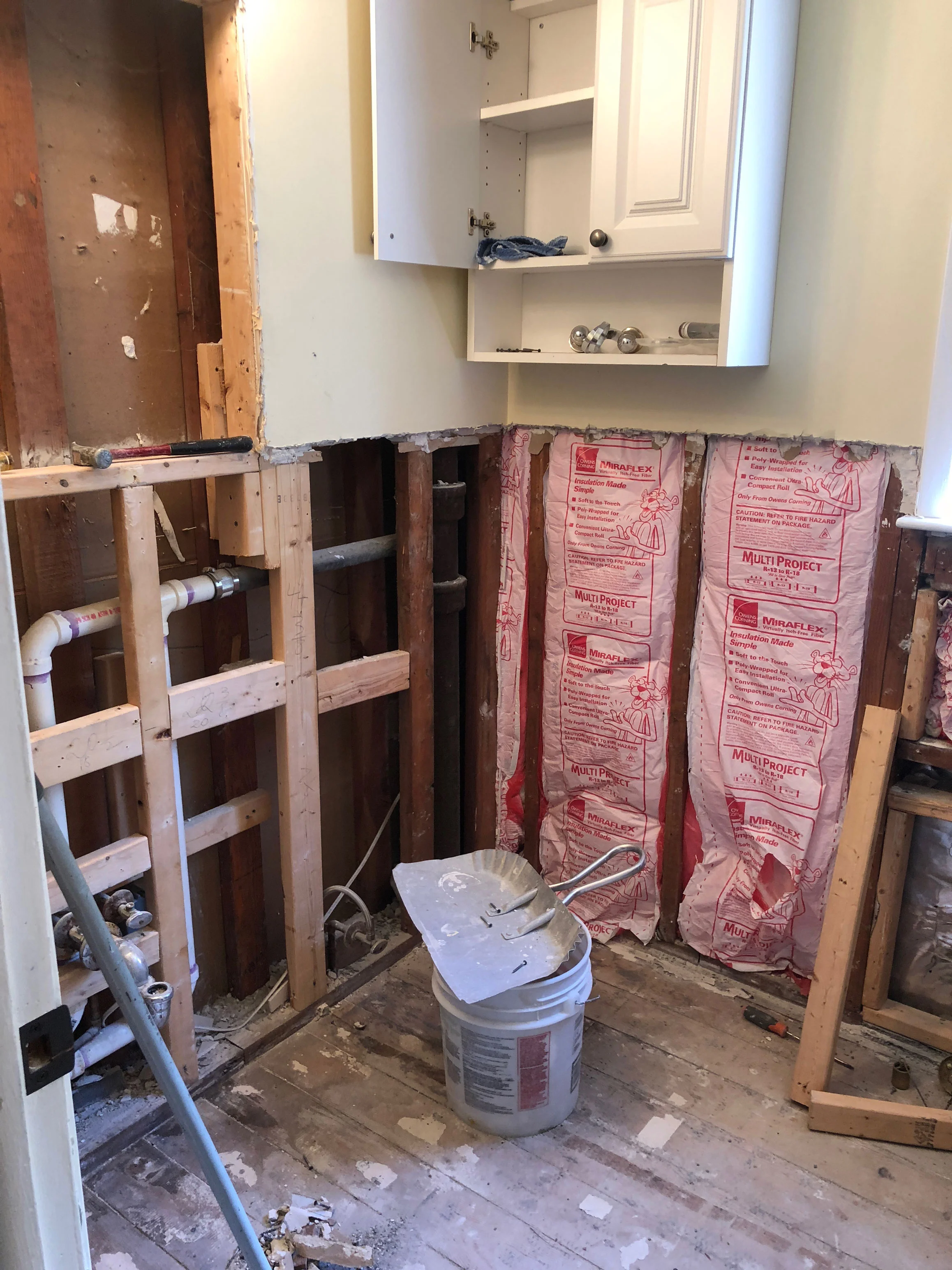 The gutting of the original 1960 bathroom in progress.