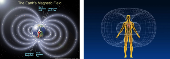 These pics will give you a visual on these fields – the Earth’s and the human heart field as an example.