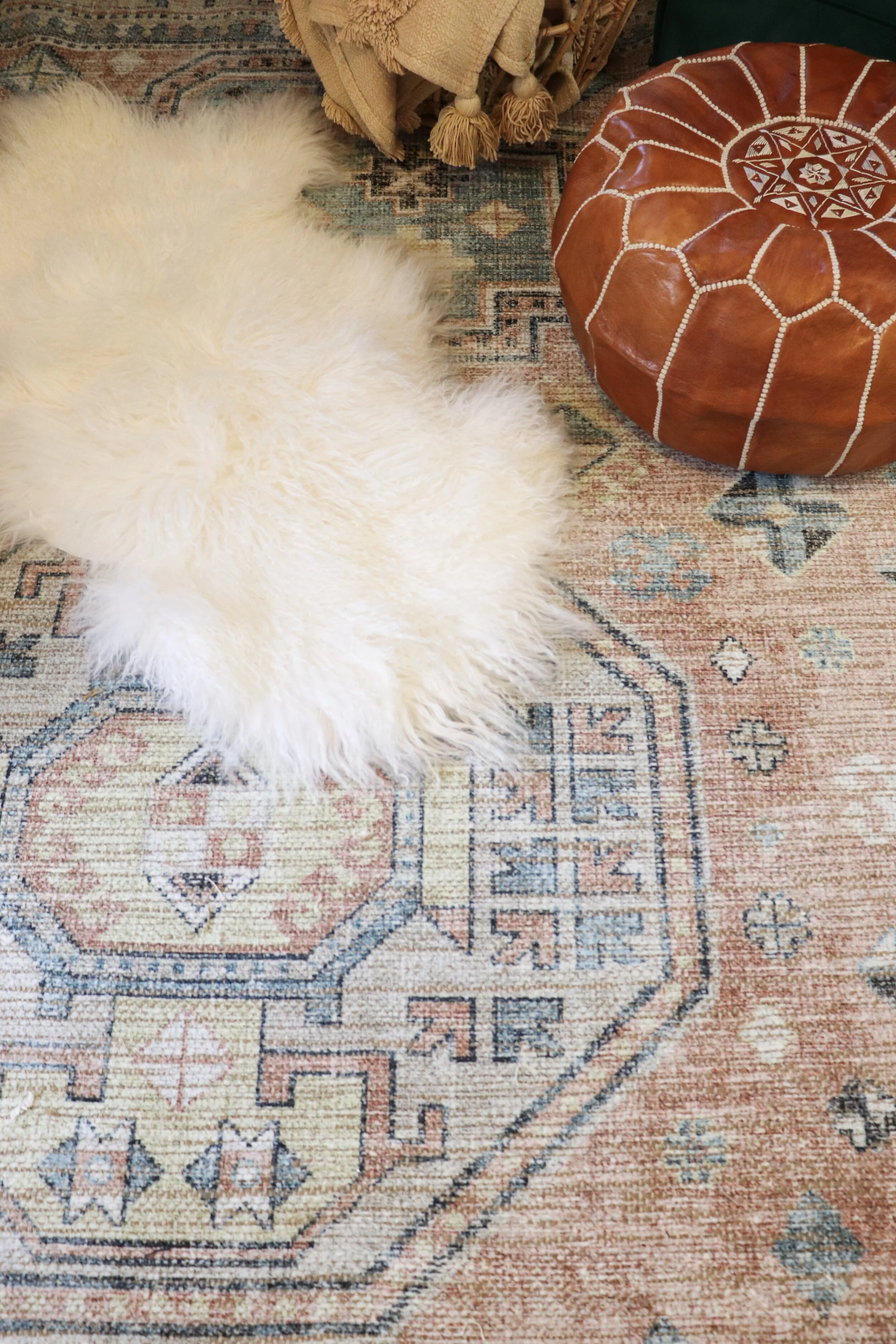 -1690161921192704173_IMG_0626 2.JPG