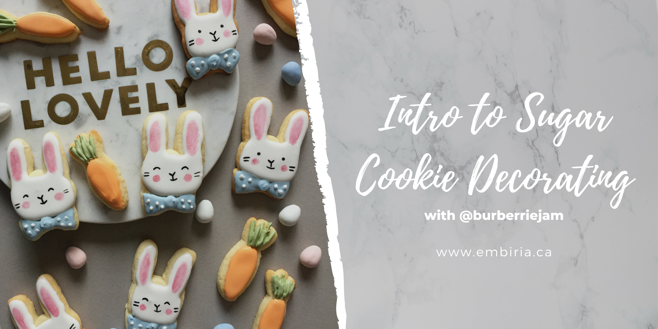 cookie-decorating-classes-toronto-embiria.png