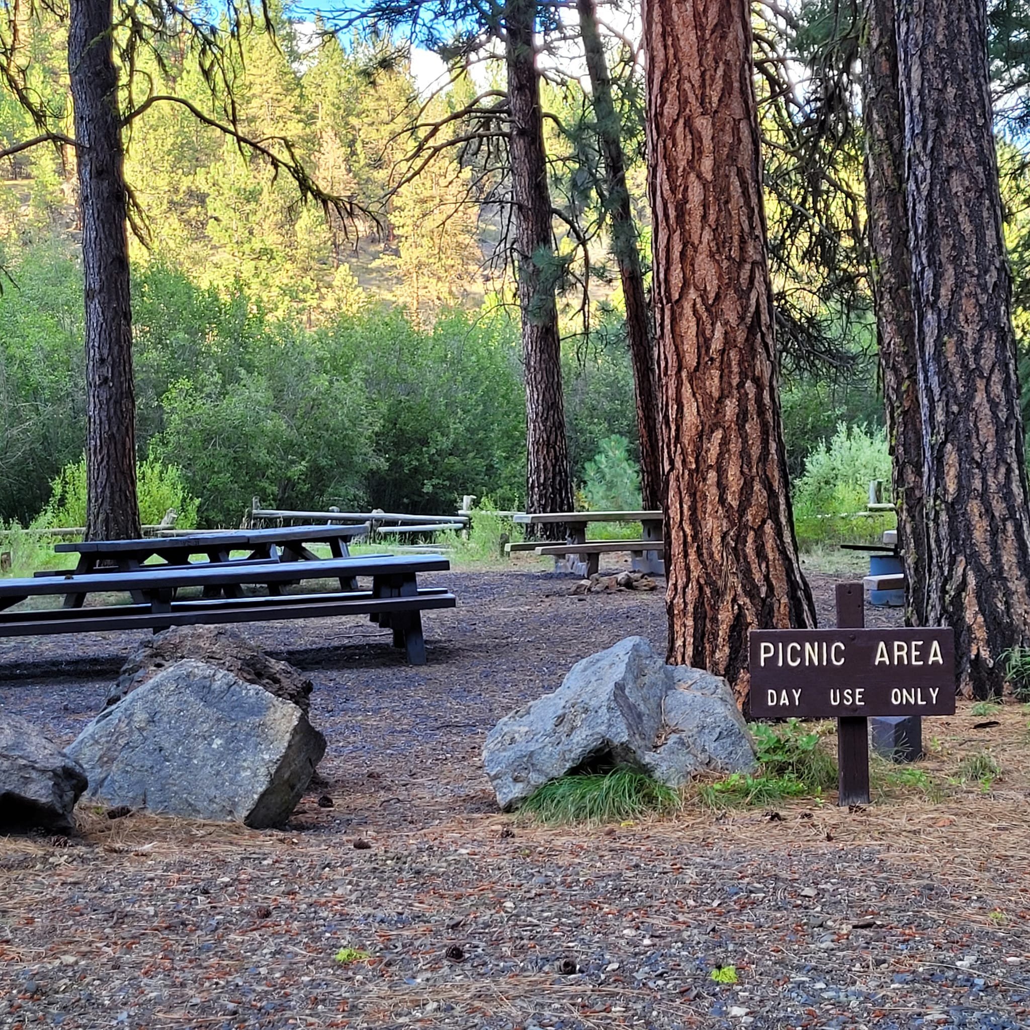 camp falls picnic area.jpg