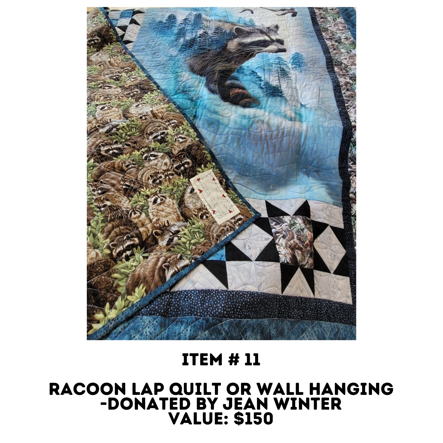 racoon quilt.png