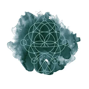 Chakra-Clean-Out-Icon.jpg