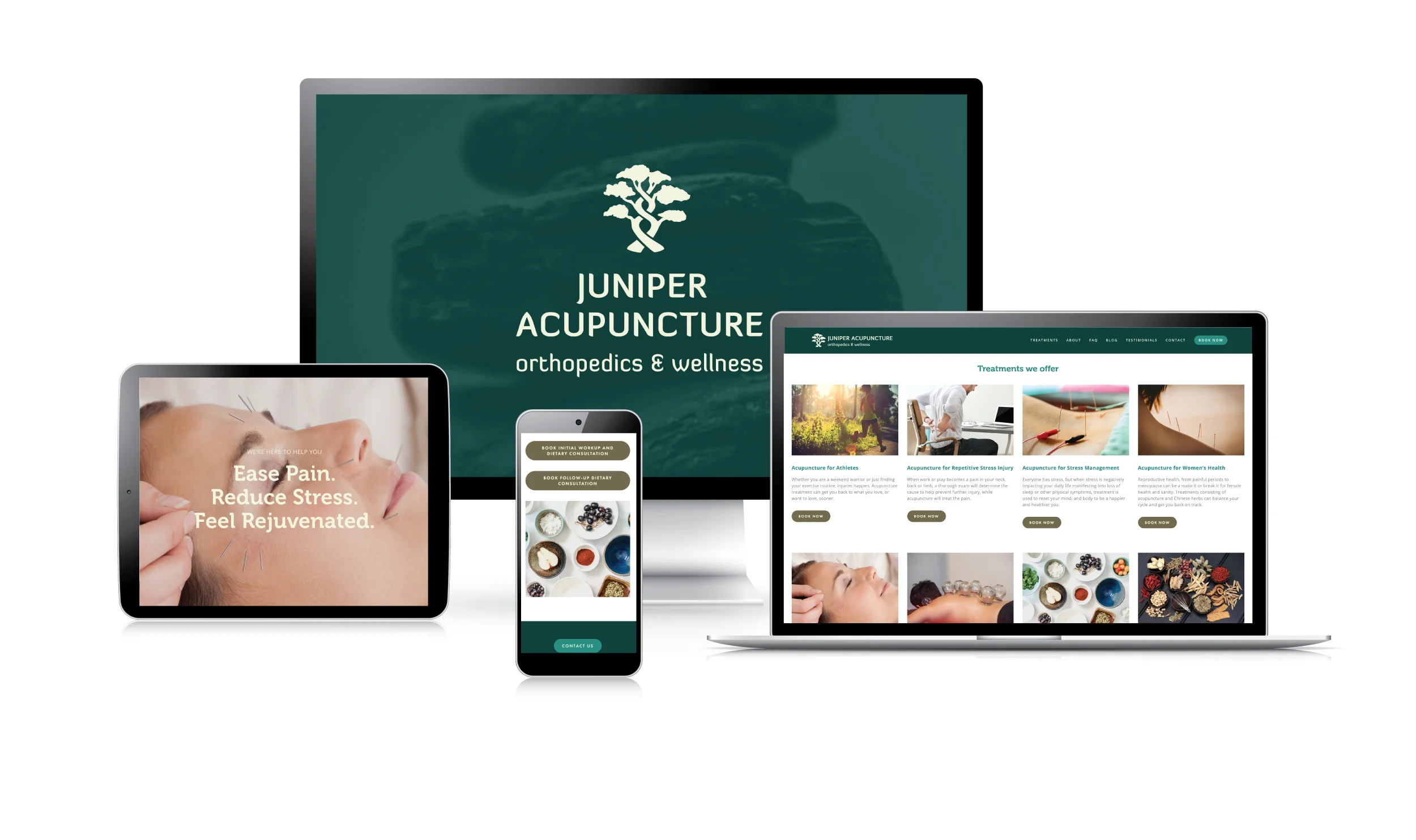 Responsive-Device-Showcase-Juniper.jpg