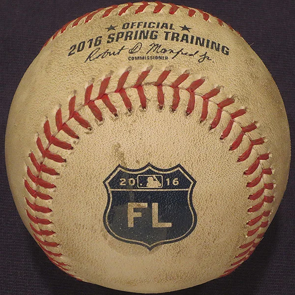 2016_spring_training_florida2.jpg
